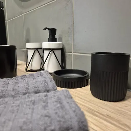 With Castle View Apartment Narva