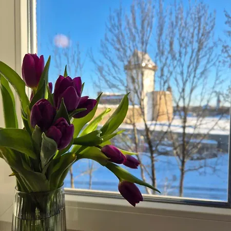 With Castle View Apartament